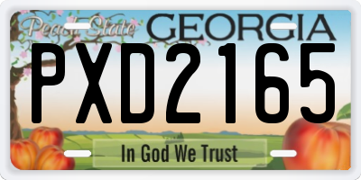 GA license plate PXD2165
