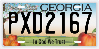 GA license plate PXD2167