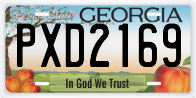 GA license plate PXD2169