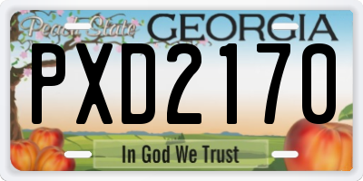 GA license plate PXD2170