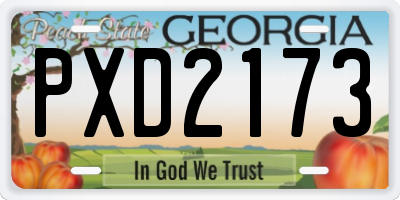 GA license plate PXD2173