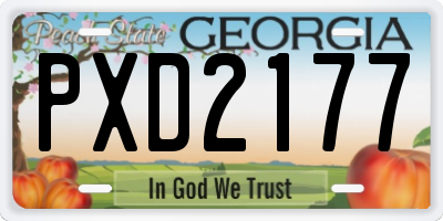 GA license plate PXD2177