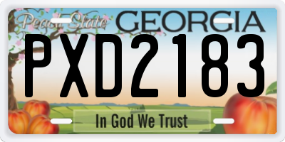 GA license plate PXD2183