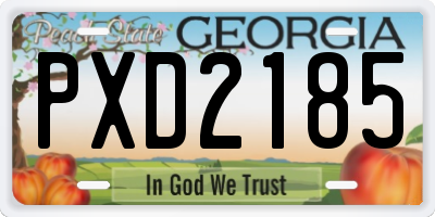 GA license plate PXD2185