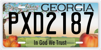 GA license plate PXD2187