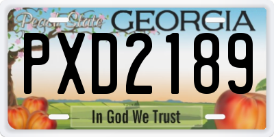 GA license plate PXD2189