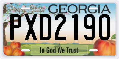 GA license plate PXD2190