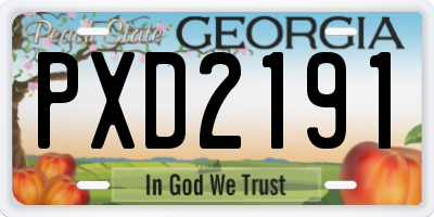 GA license plate PXD2191