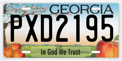 GA license plate PXD2195