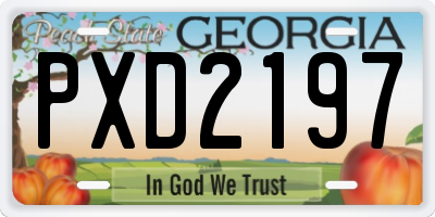 GA license plate PXD2197