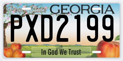 GA license plate PXD2199