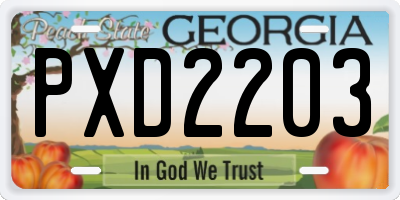 GA license plate PXD2203