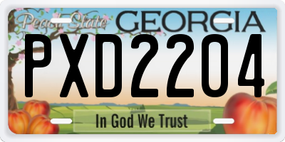 GA license plate PXD2204