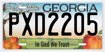 GA license plate PXD2205