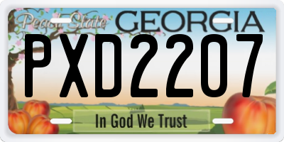 GA license plate PXD2207