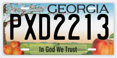 GA license plate PXD2213