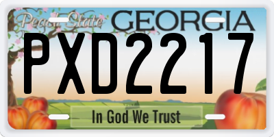 GA license plate PXD2217