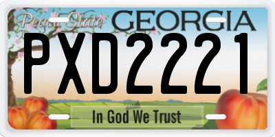 GA license plate PXD2221