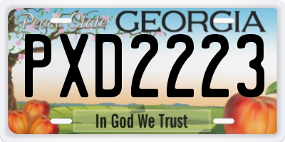 GA license plate PXD2223