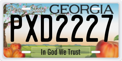 GA license plate PXD2227