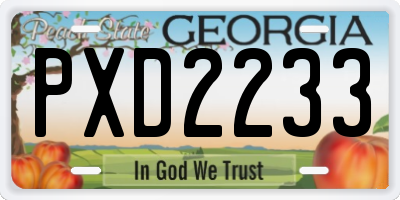 GA license plate PXD2233
