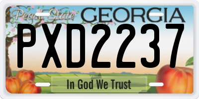 GA license plate PXD2237