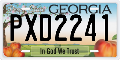 GA license plate PXD2241