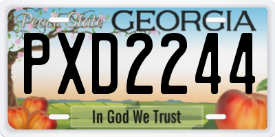 GA license plate PXD2244