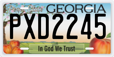 GA license plate PXD2245