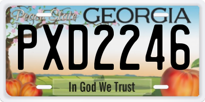 GA license plate PXD2246