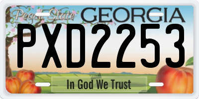 GA license plate PXD2253