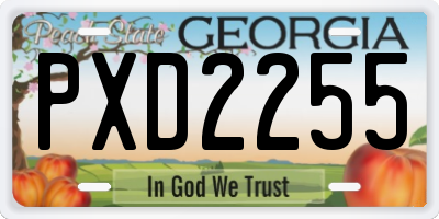 GA license plate PXD2255