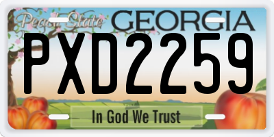 GA license plate PXD2259
