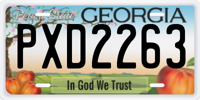 GA license plate PXD2263