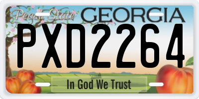 GA license plate PXD2264