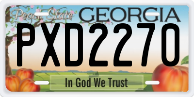 GA license plate PXD2270