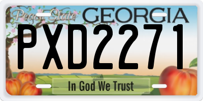 GA license plate PXD2271