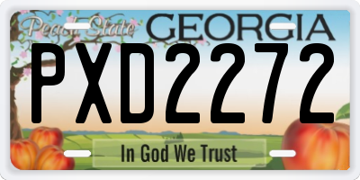 GA license plate PXD2272