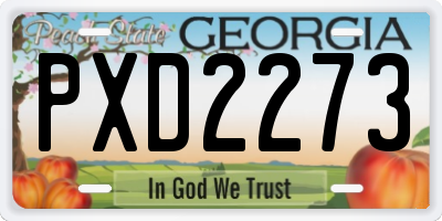 GA license plate PXD2273