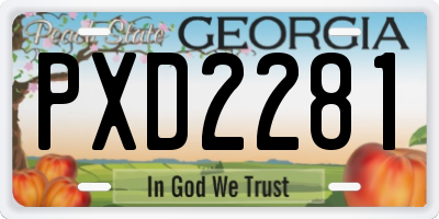 GA license plate PXD2281
