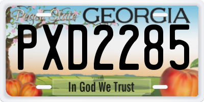 GA license plate PXD2285
