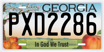GA license plate PXD2286