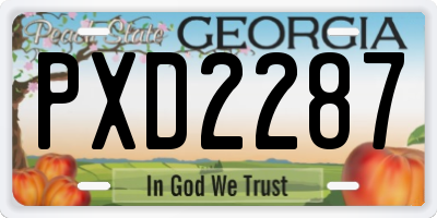 GA license plate PXD2287