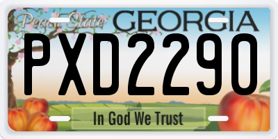 GA license plate PXD2290