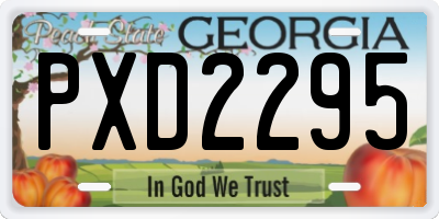 GA license plate PXD2295