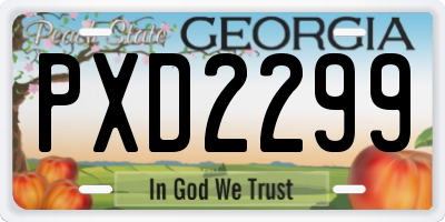 GA license plate PXD2299