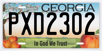 GA license plate PXD2302