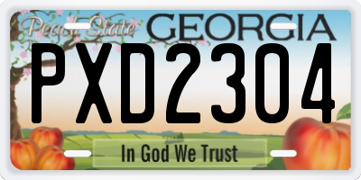 GA license plate PXD2304