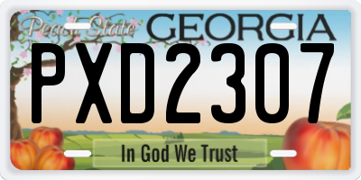 GA license plate PXD2307