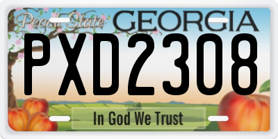 GA license plate PXD2308